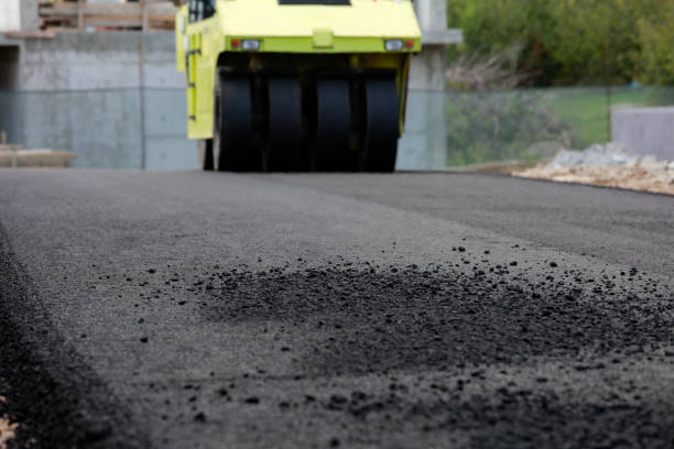 Best Driveway Pavers Near Me  in Hampton, GA